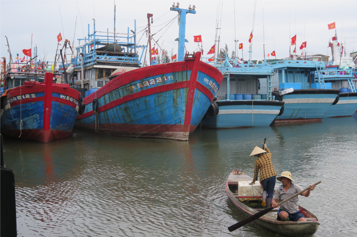 Quảng Ngãi: Cải cách thủ thục đăng ký, đăng kiểm tàu cá, tạo sự tiện lợi cho ngư dân (11/4/2022)